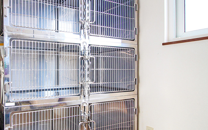 仙台市泉区・パークタウン高森動物病院